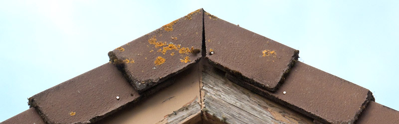 Close up of roof with yellow mold and damage