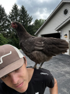 Brett wales roofing